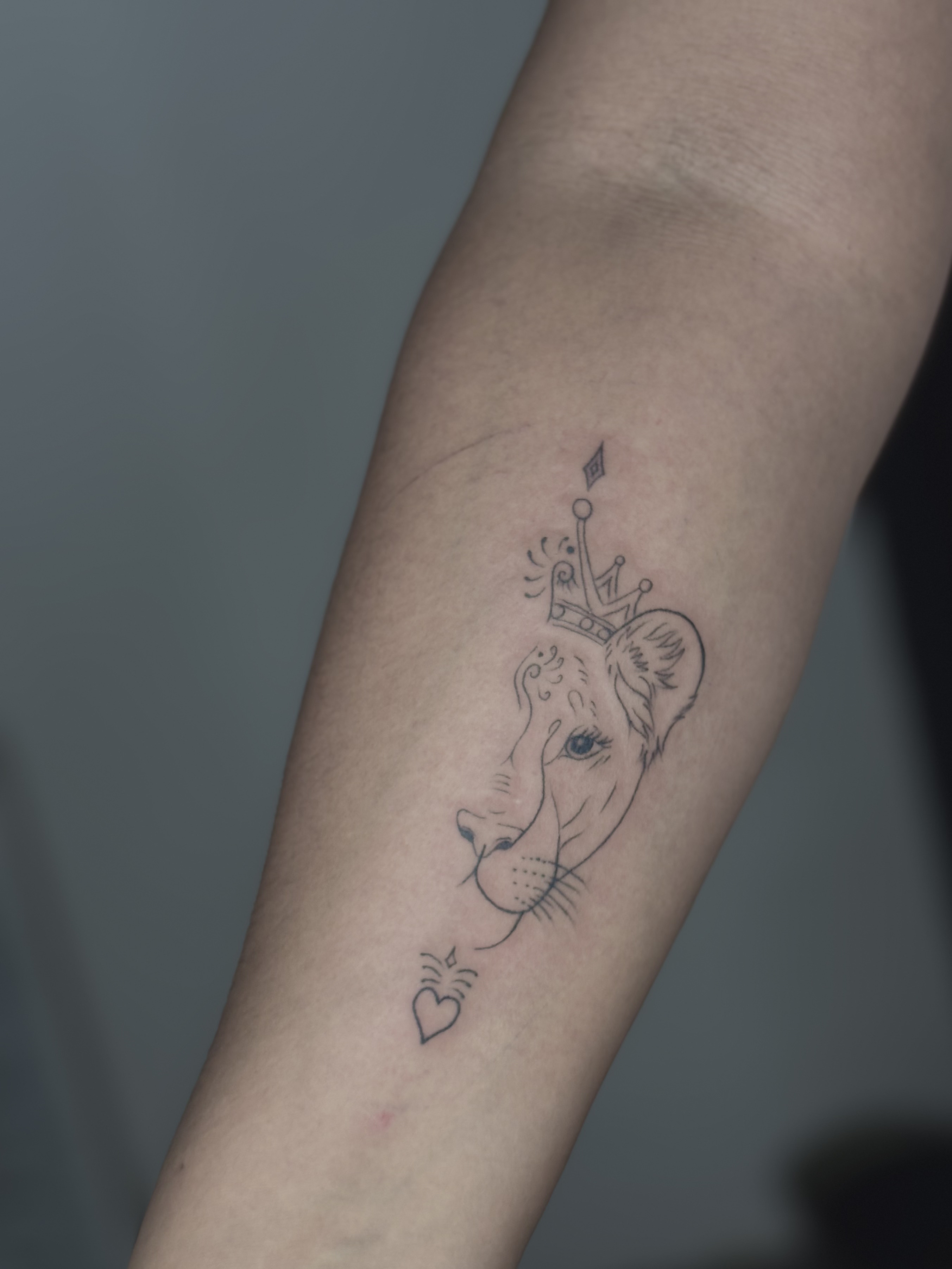 Tatuaje león con corona