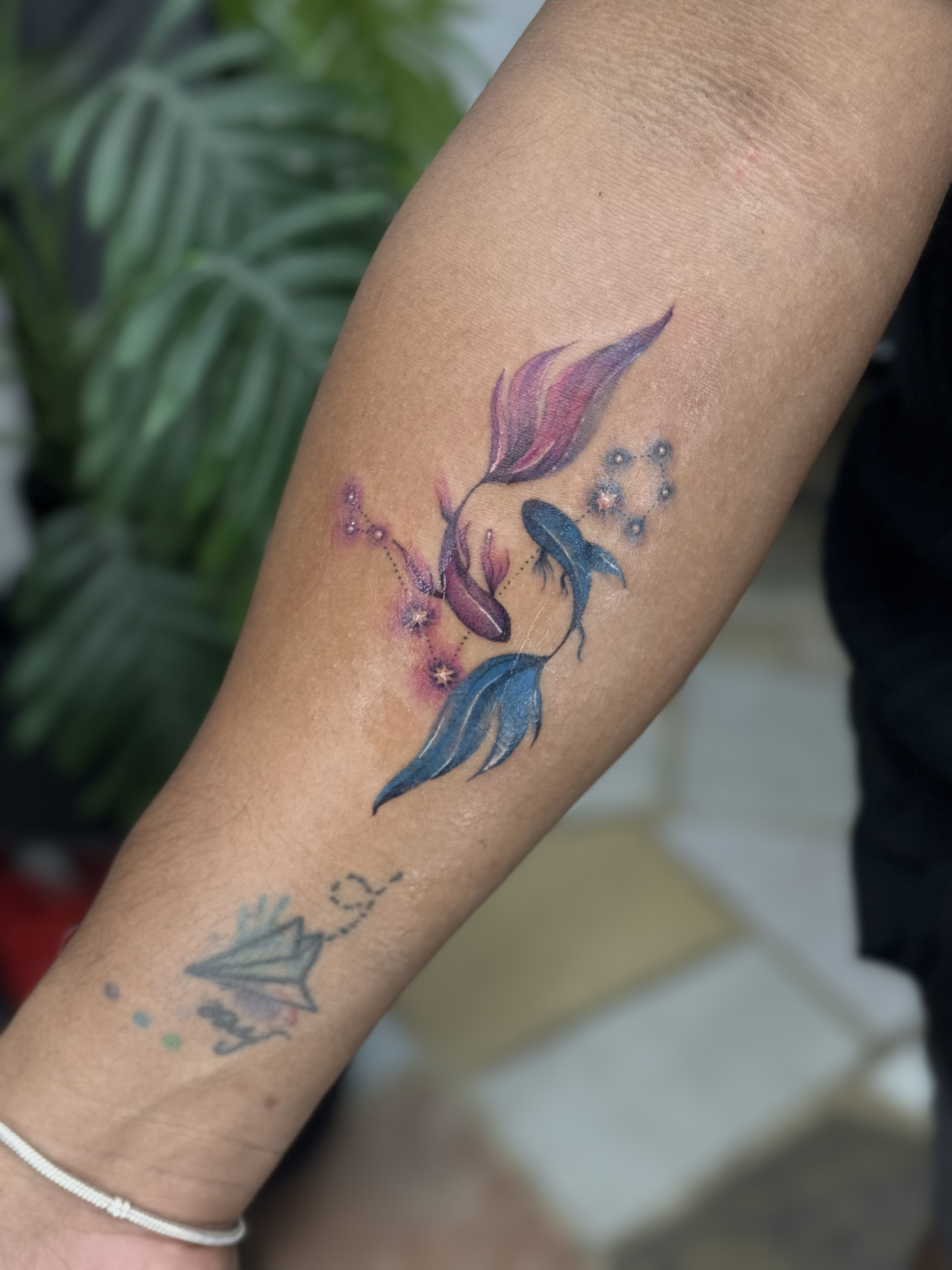 Tatuaje peces con constelación