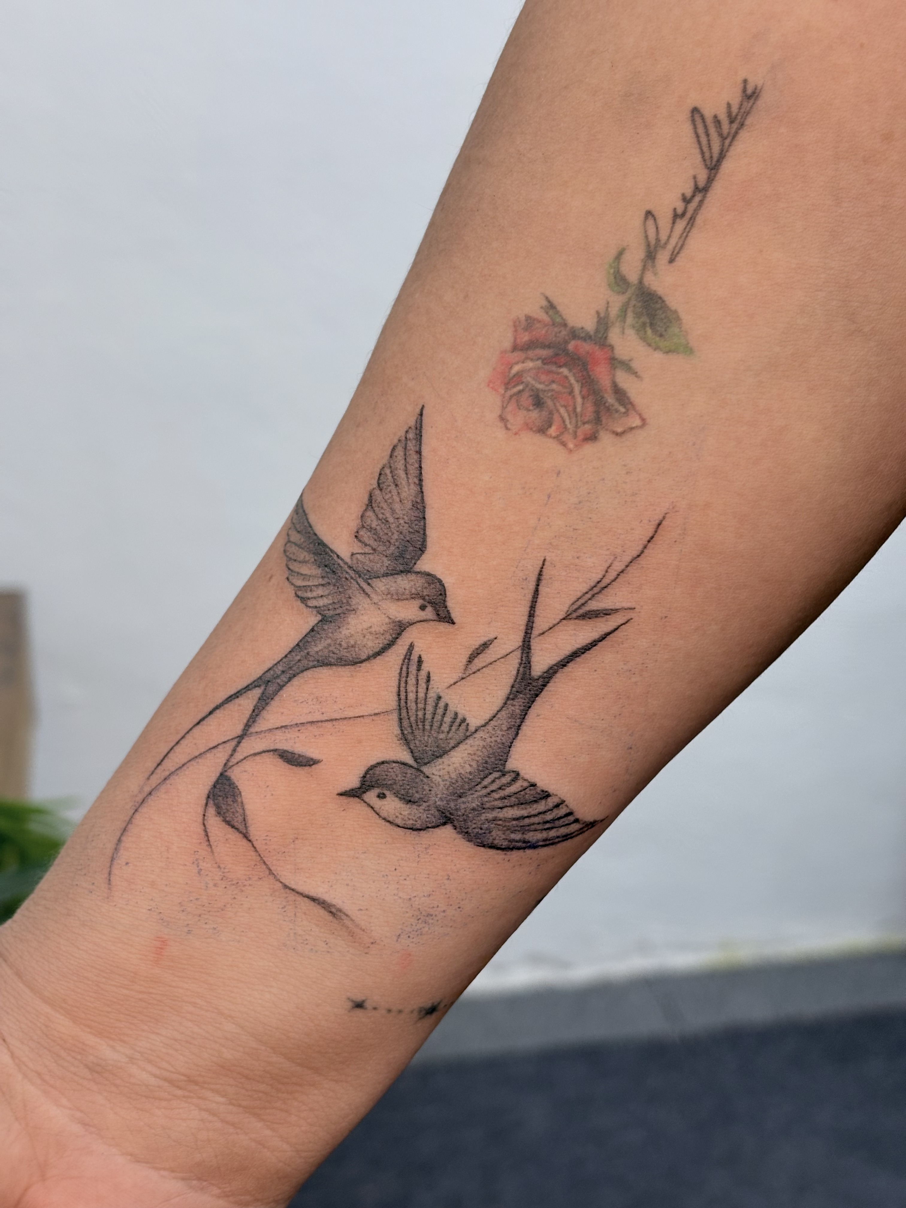 Tatuaje golondrinas y rosa